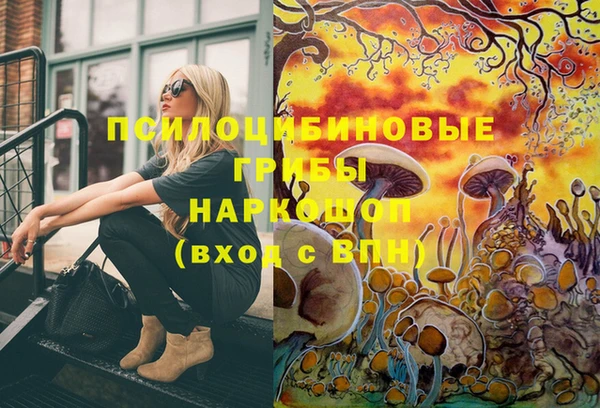 соль ск Балахна