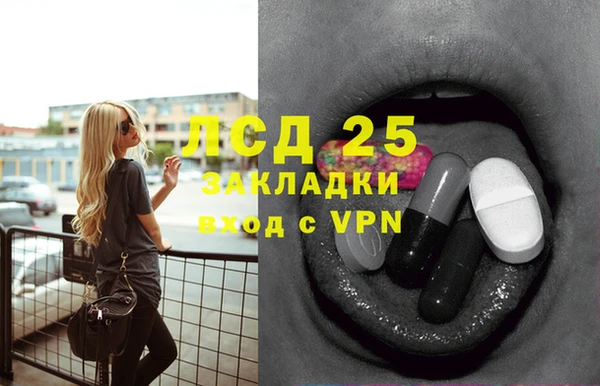 мяу мяу мука Баксан